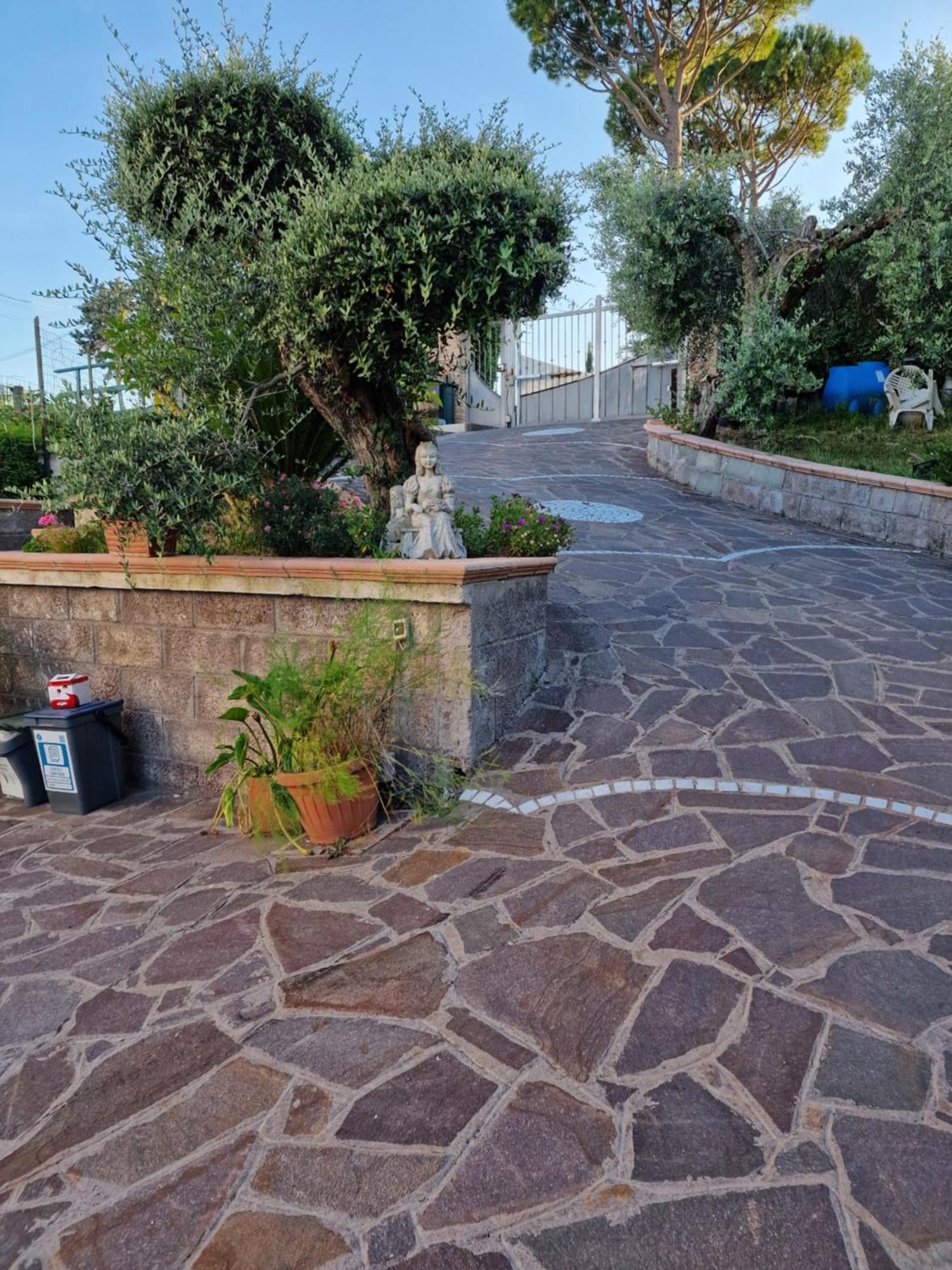 La Casa Tra Gli Ulivi Di Fonte Nuova 2 Vila Mentana Exterior foto